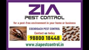 Cockroach Ant and general Pest control | Cockroach pest Servie | 5038