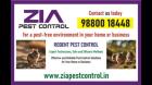 Zia Pest Control | Rodent control | Residence Commercial and Office | 5045