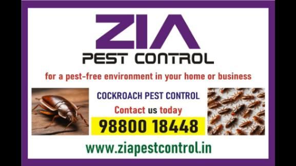 Cockroach Service | Speical Proce For restaurents | Hotels | Zia Pest Control  | 6053