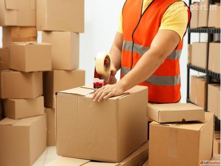 Fedex Gurgaon