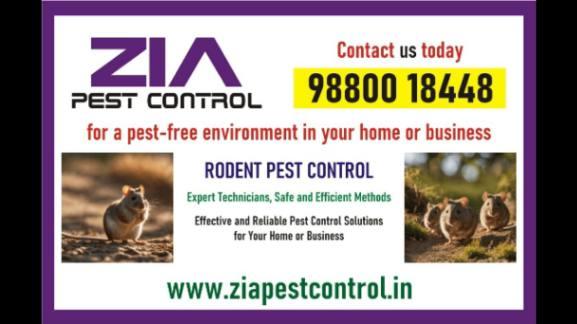 Rodent Control Treatment | Appartments and school Specil Discount | 6003