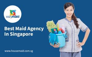 Top Singapore Maid Agency with Experienced Domestic Helpers