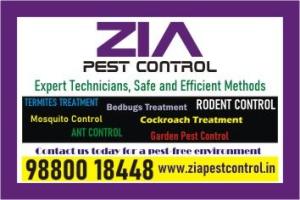 Zia Pest Control | Rat Lizard pest Control | Upto 25% Off for Restaurent | 6095