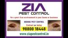 Bed Bugs Control | Appartments | Paying Guest | Zia Pest Control | 236